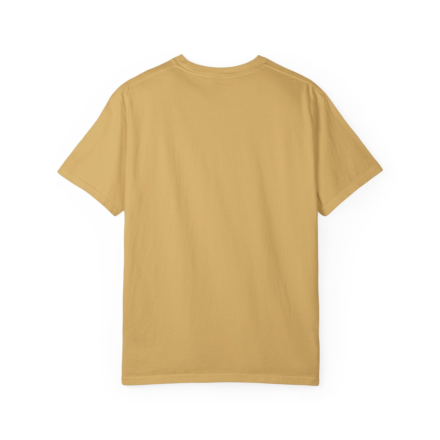 Gabru T-Shirt | Punjabi Desi Swagger Graphic Tee for Men