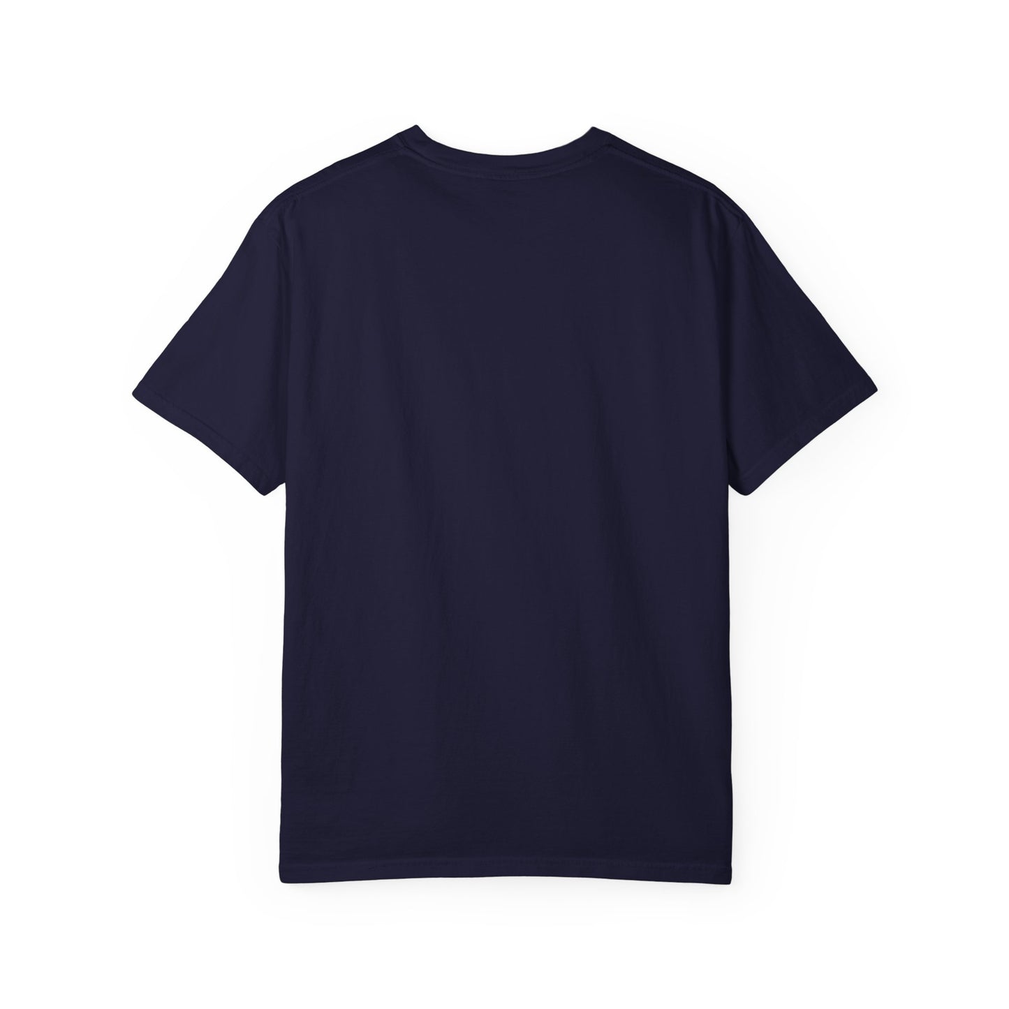 Gabru T-Shirt | Punjabi Desi Swagger Graphic Tee for Men